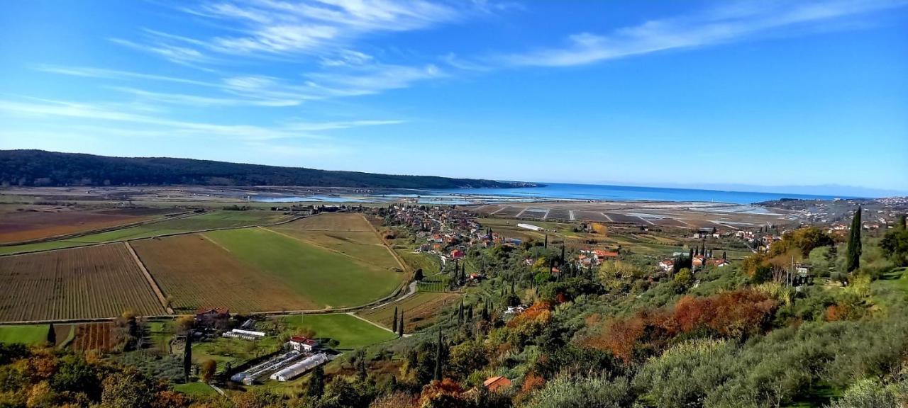 Apartments Milok Sečovlje Eksteriør bilde